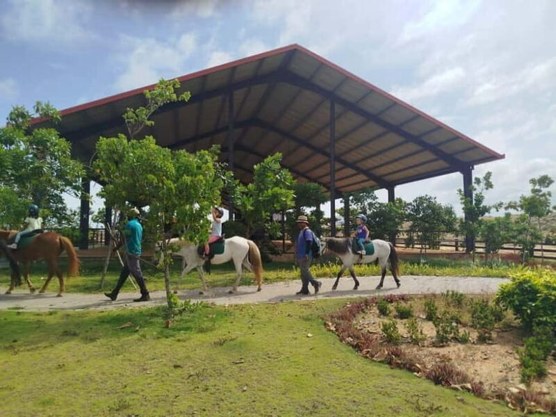Colombo: Beach Horseback Riding Experience - An Authentic Horseback Riding Adventure in Colombo