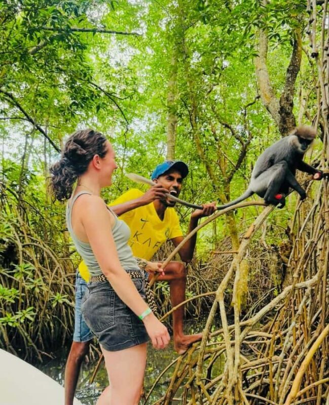Colombo: Bentota Mangrove River Safari 6 Hour Tour - Final Thoughts