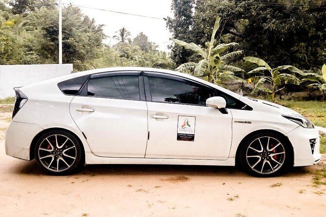 Colombo City to Dambulla City Private Transfer - Who Should Consider This Service?