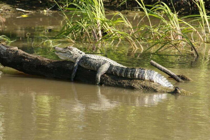 colombo-city-tour-with-galle-fort-bentota-river-safari