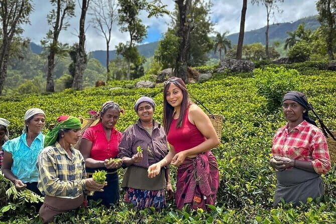 Colombo City Tour With Mahaweli - The Sum Up