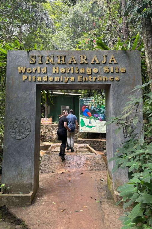 colombo-cmb-sinharaja-rainforest-day-trip-with-lunch