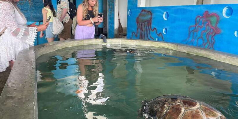 colombo-cruise-port-galle-turtle-hatchery-river-safari