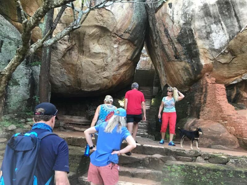Colombo: Dambulla Cave Temple and Sigiriya Day Trip - The Sum Up: Who Is This Tour Best For?