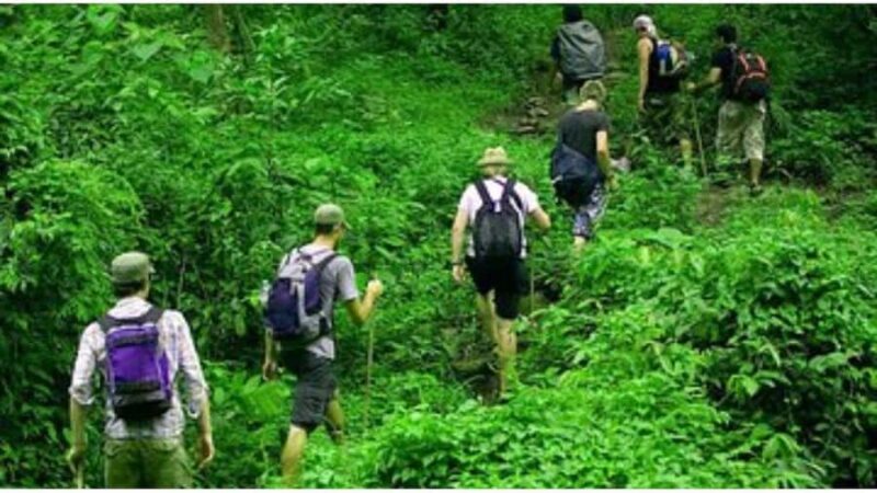 Colombo: Digana Waterfall Swim & Village Walk & Tea Factory - The Sum Up