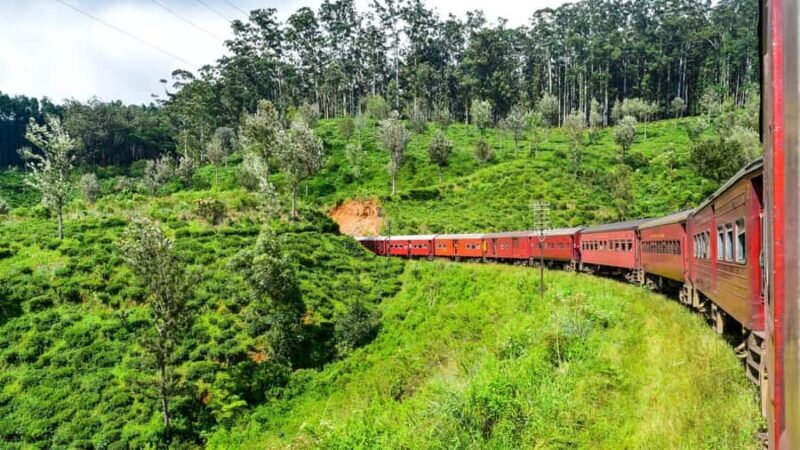 Colombo: Ella Scenic Train Tour with Hotel Transfers - Key Points