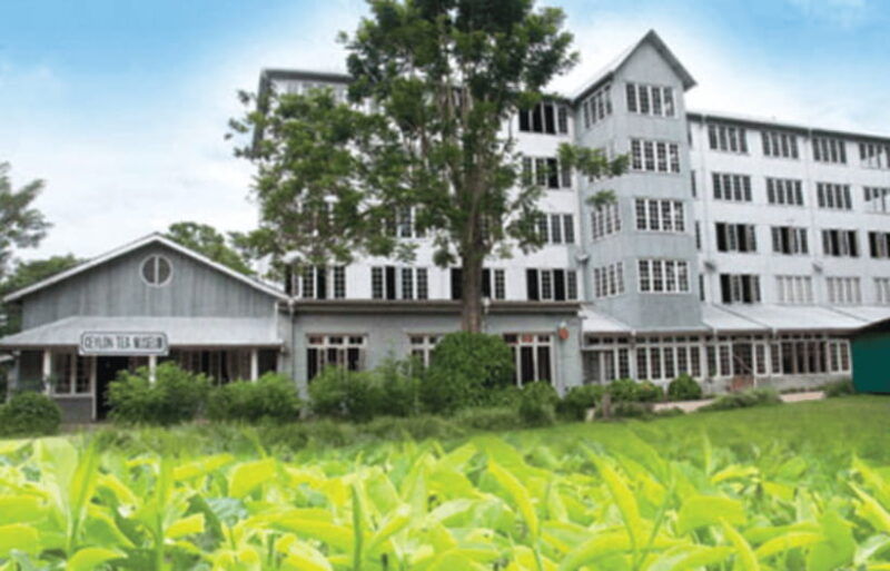 colombo-kandy-day-trip-with-pinnawala-elephant-orphanage