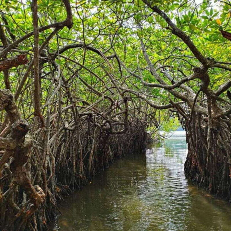 colombo-negombo-galle-fort-bentota-beach-day-tour
