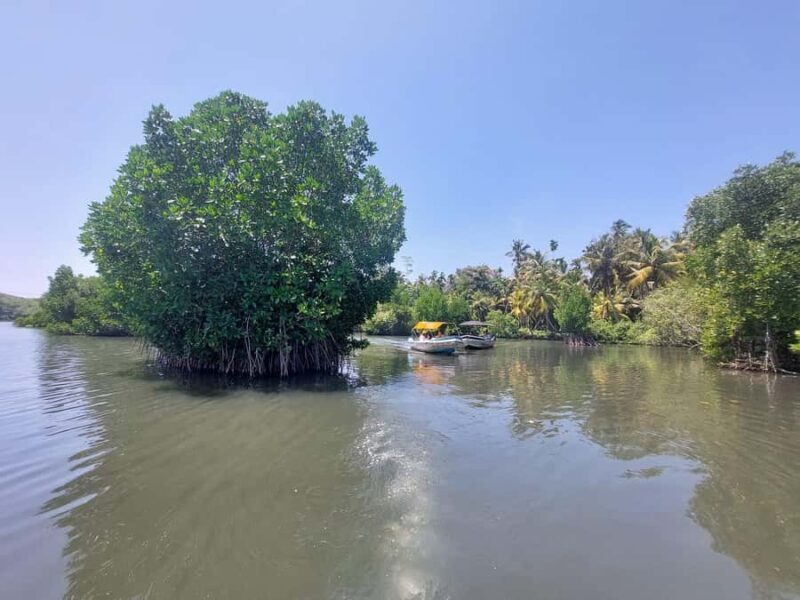 Colombo/Negombo: Koggala Lake Boat Safari and Kayaking Tour - Key Points