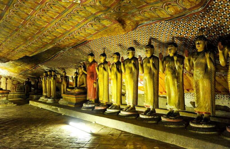 colombo-negombo-sigiriya-dambulla-and-minneriya-safari