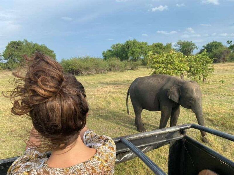 colombo-negombo-sigiriya-dambulla-cave-full-day-tour
