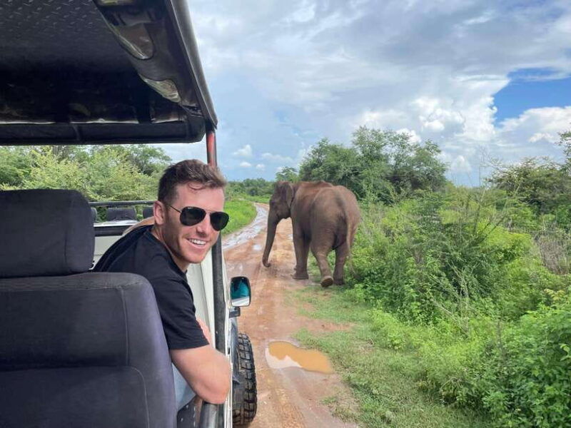 colombo-negombo-sigiriya-kandy-ella-3-day-trip-with-train