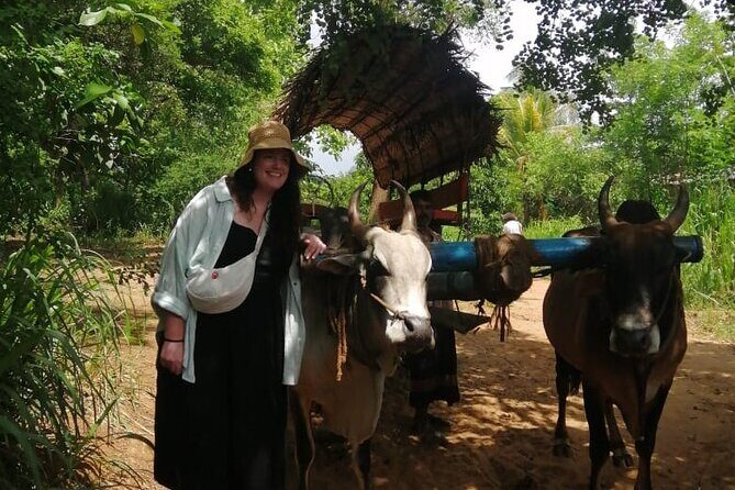 Colombo , Negombo to Trincomalee Transfer and Safari - An Honest Look at the Itinerary