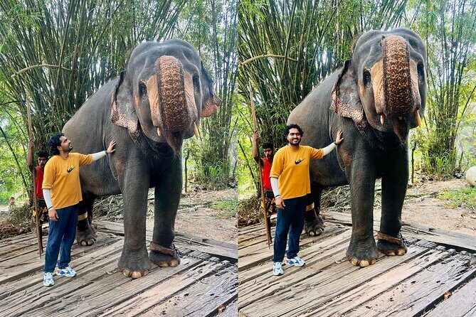 Colombo Private Airport Transfer - Customer Experiences and Authentic Insights