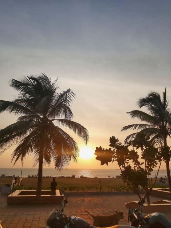 Colombo: Romantic Half-Day Tuk-Tuk Tour with Guide - Who Will Love This Experience?