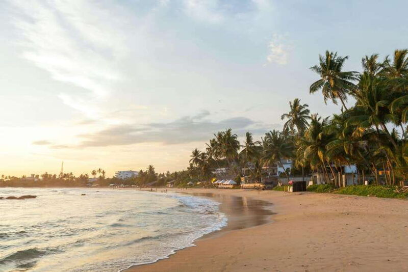 colombo-shore-excursion-history-legacy-and-hidden-gems