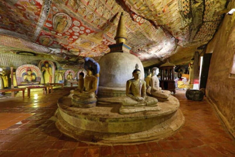 Colombo: Sigiriya, Dambulla Caves, & Wildlife Day Tour - The Value for Money Perspective