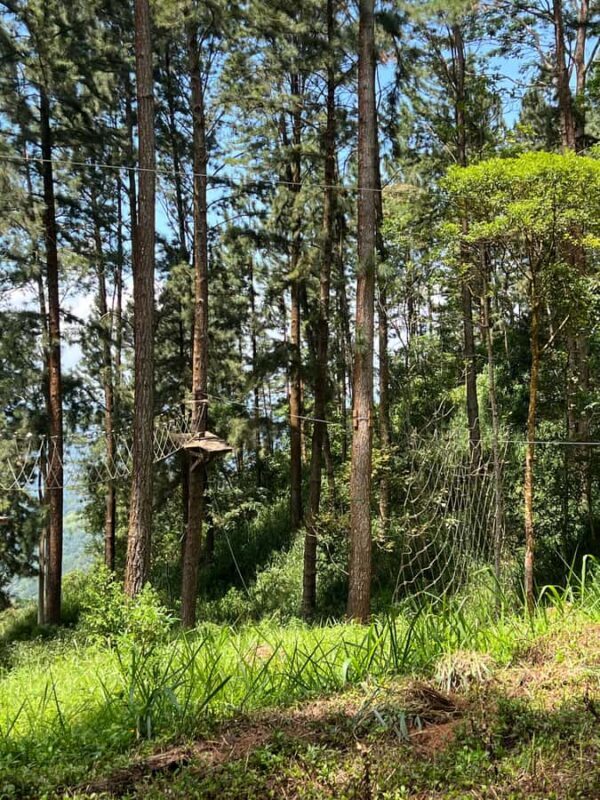 Colombo to Ambuluwawa Tower Private Day Trip 12 Hours - FAQ