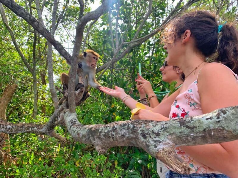 Colombo to Galle Day Tour with Tea Factory & Cinnamon Island - Final Thoughts: Who Will Love This Tour?