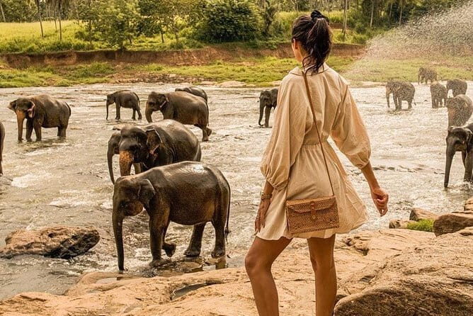 Colombo to Kandy Private Day Tour - Practical Aspects and Logistics