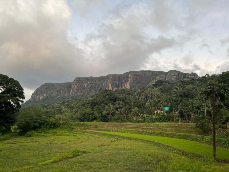 Colombo To Maskeliya & Waterfalls Day Trip - Key Points