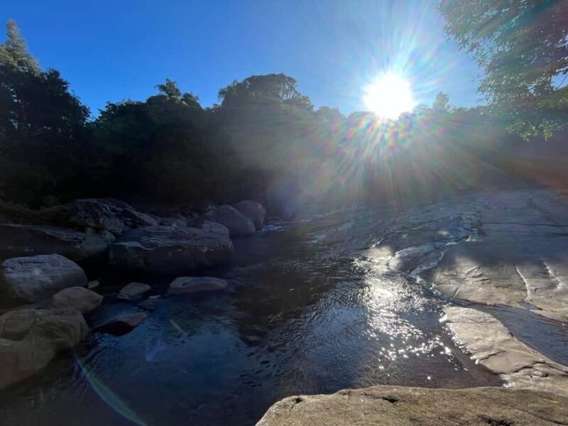 Colombo To Maskeliya & Waterfalls Day Trip - Value and Practicality