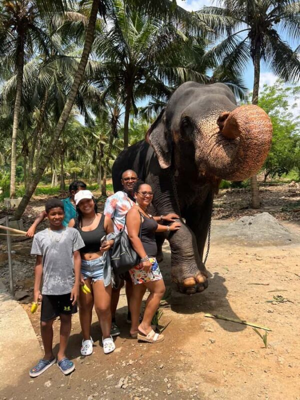 Colombo to Pinnawala & Kandy  Private Cultural Day Tour - Detailed Breakdown of the Tour Experience