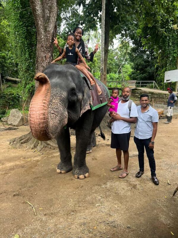 Colombo to Pinnawala & Kandy  Private Cultural Day Tour - FAQ about the Colombo to Pinnawala & Kandy Private Tour