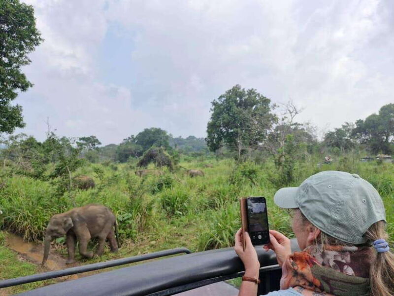 Colombo to Yala via Sigiriya, Kandy Private 4-Day Tour - Day 1: Colombo to Sigiriya – A Cultural and Historical Kickoff
