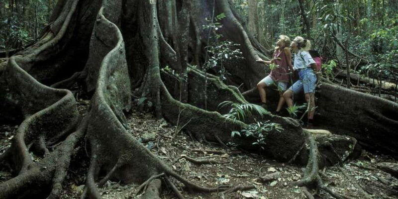 colombo-water-rafting-bird-watching-village-rainforest