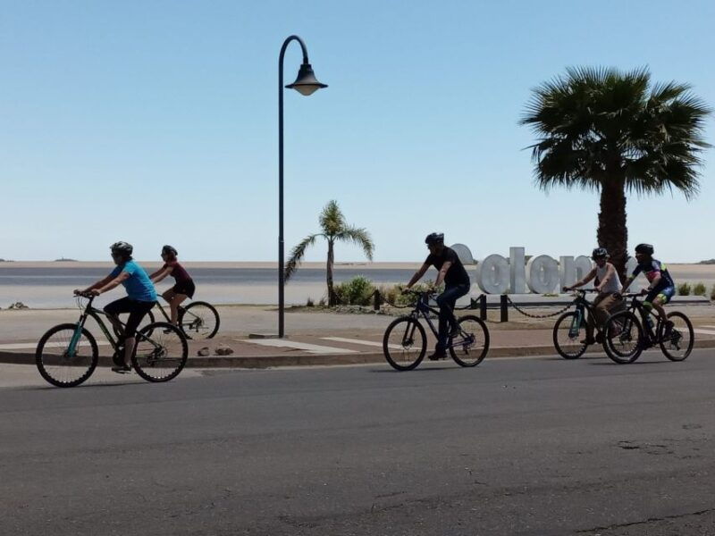 colonia-del-sacramentotouristic-sightseeing-guided-bikeride