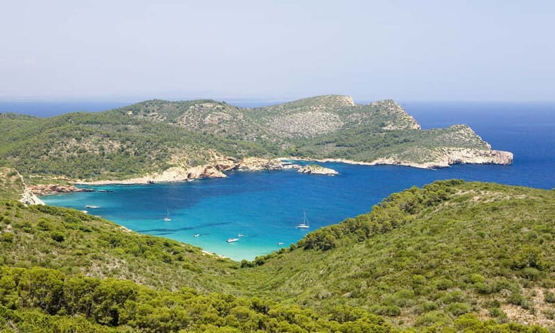 Colonia Sant Jordi: Classic & Express Boat Tour to Cabrera - Authentic Insights from Reviewers