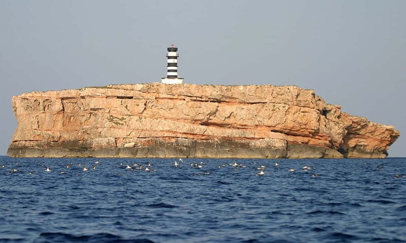 Colonia Sant Jordi: Premium & Fast Boat Tour around Cabrera - Final Thoughts: Who Will Love This Tour?