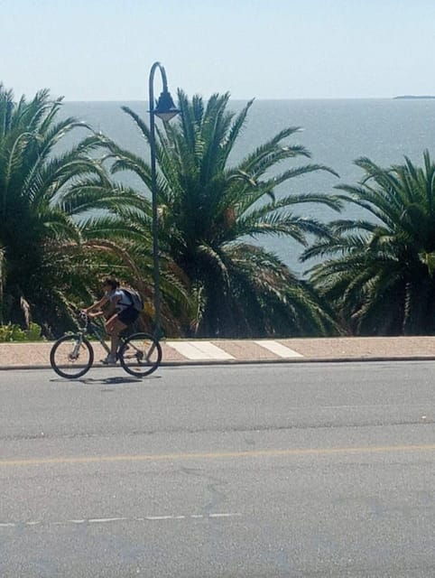 colonia-urban-bike-with-delivery-to-your-hotel