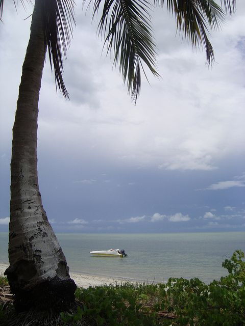 colonial-north-coast-beaches-full-day-tour