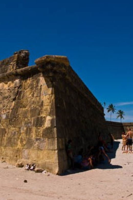 colonial-north-coast-beaches-full-day-tour