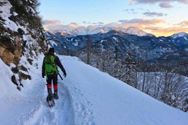 colorado-backcountry-guided-snowshoe-tour