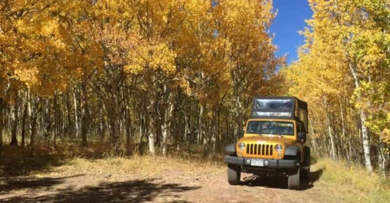 colorado-jeep-tours-gold-belt-tour