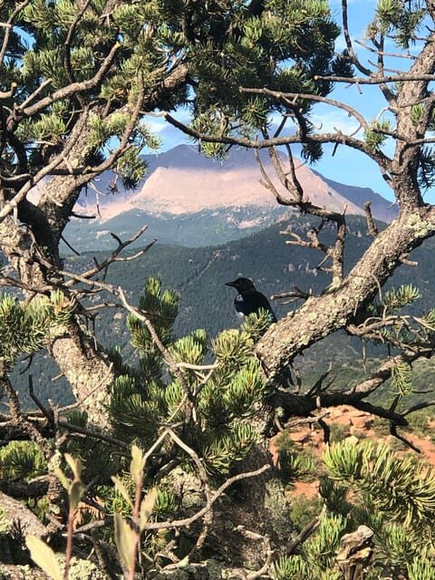 Colorado Springs: Garden of the Gods & Manitou Springs Tour - FAQ