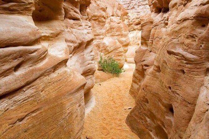 Colored Canyon and White Canyon Tour from Taba - The Itinerary in Detail