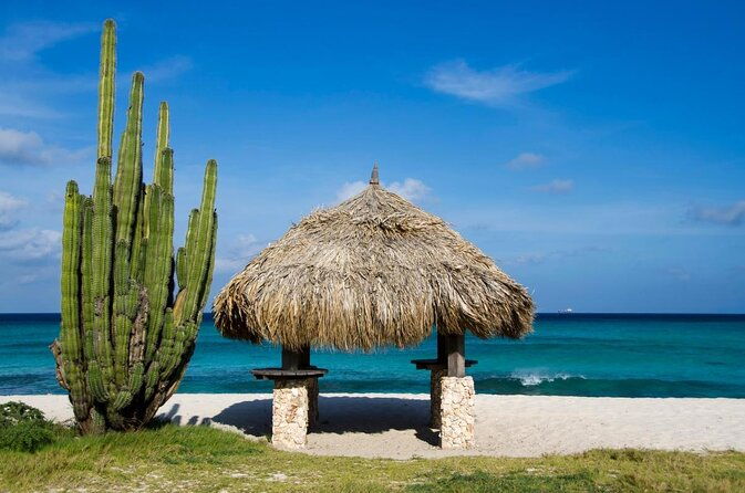 colorful-beach-bus-sightseeing-tour-of-aruba