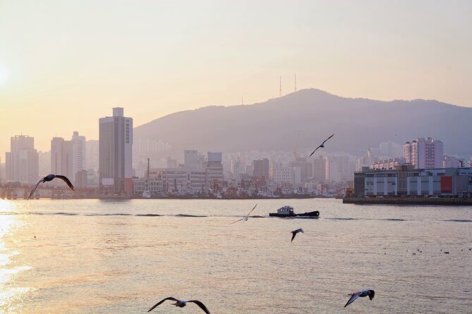 Colors of Busan: Sky Capsule, Jagalchi Market & Night Views - Key Points