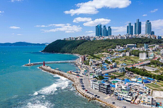 Colors of Busan: Sky Capsule, Jagalchi Market & Night Views - The Sum Up