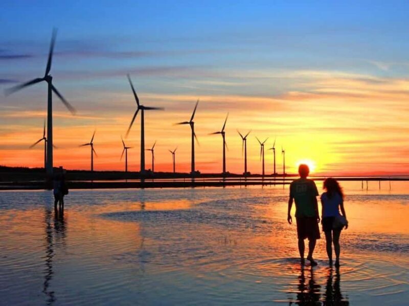 Colors of the City: Discovering Taichungs Art and Charm - A Full Breakdown of the Tour Experience