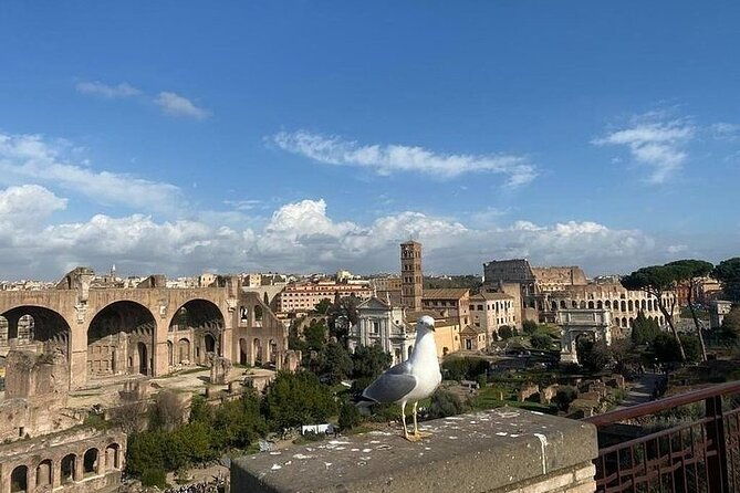 colosseum-admission-with-roman-forum-palatine-hill-access