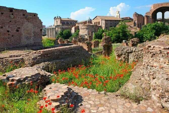 Colosseum & Ancient Rome Private: Women History Guided Tour - Authentic Insights from Reviewers