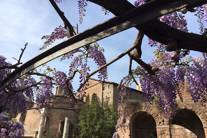 colosseum-and-ancient-rome-private-tour-2