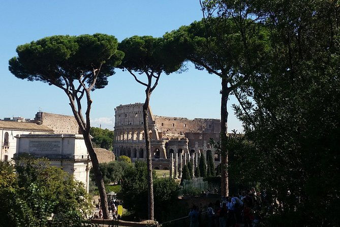 colosseum-and-roman-forum-private-tour-led-by-an-archaeologist-2