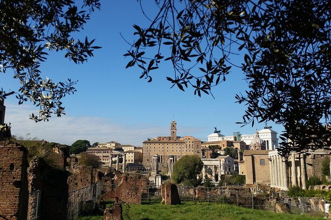 colosseum-and-roman-forum-private-tour-led-by-an-archaeologist