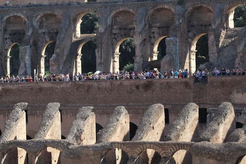 Colosseum, Forum & Palatine Hill Guided Walking tour - Authentic Traveler Insights
